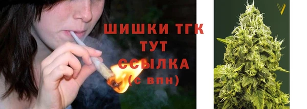 ГАЛЛЮЦИНОГЕННЫЕ ГРИБЫ Навашино