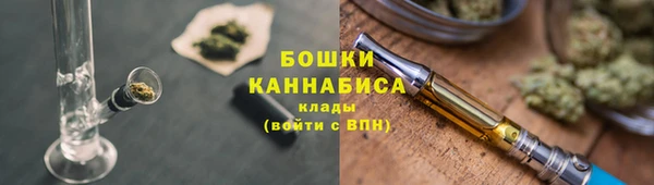 ГАЛЛЮЦИНОГЕННЫЕ ГРИБЫ Навашино