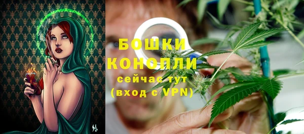 ГАЛЛЮЦИНОГЕННЫЕ ГРИБЫ Навашино