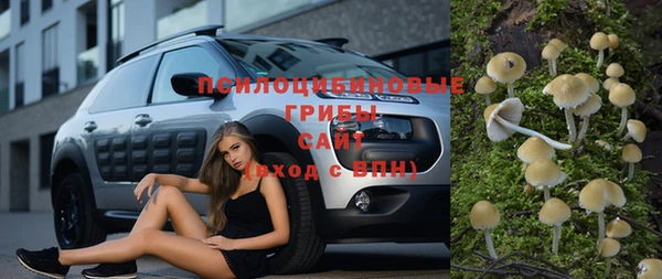ГАЛЛЮЦИНОГЕННЫЕ ГРИБЫ Навашино