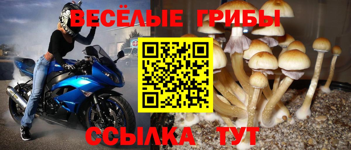 Всеволожск  Галлюциногенные грибы прущие грибы  Вход с VPN 