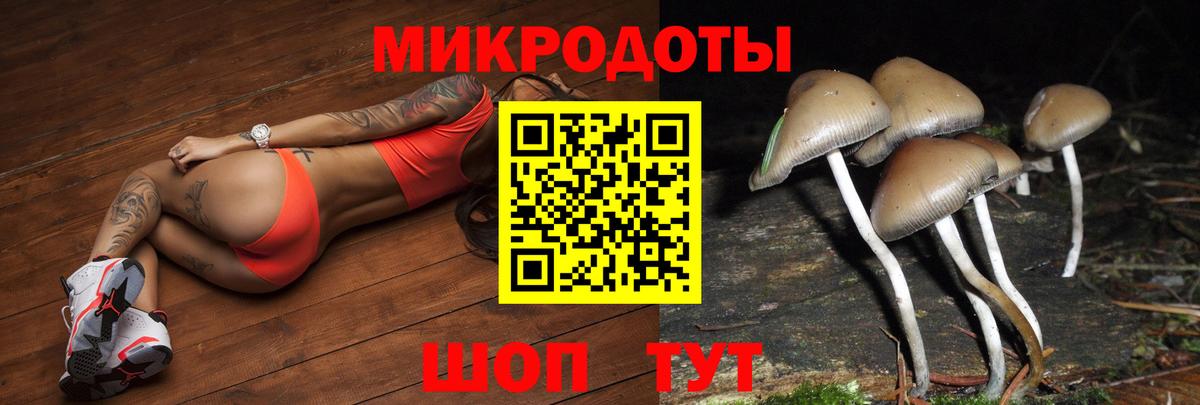 Галлюциногенные грибы мухоморы  Всеволожск  Псилоцибиновые грибы ЛСД 